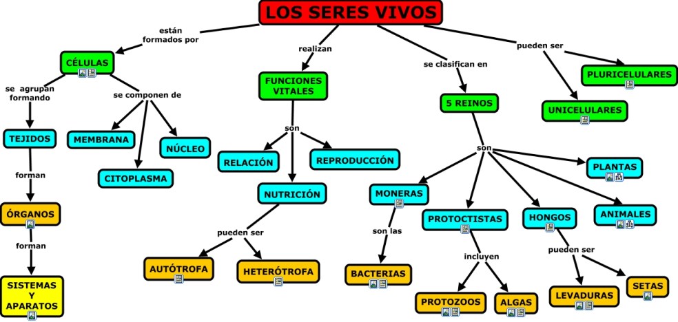 seres-vivos-cmap